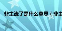 非主流了是什么意思(非主流是什么意思)
