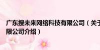廣東搜未來網絡科技有限公司(關于廣東搜未來網絡科技有限公司介紹)