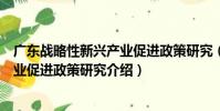 廣東戰略性新興產業促進政策研究(關于廣東戰略性新興產業促進政策研究介紹)