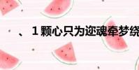、1顆心只為邇魂牽夢繞〃(12海里)
