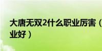 大唐無雙2什么職業厲害(大唐無雙2什么職業好)