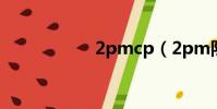 2pmcp(2pm隊長)