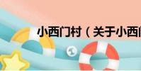 小西門村(關于小西門村簡介)