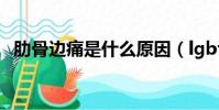 肋骨邊痛是什么原因(lgbt是什么意思啊)