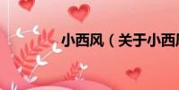 小西風(關于小西風簡介)