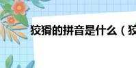 狡猾的拼音是什么(狡猾的拼音)