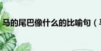 馬的尾巴像什么的比喻句(馬的尾巴像什么)