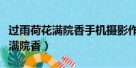 過雨荷花滿院香手機攝影作品欣賞(過雨荷花滿院香)