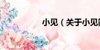 小見(關于小見簡介)