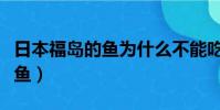 日本福島的魚為什么不能吃(福島民眾不敢吃魚)