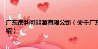 廣東房利可能源有限公司(關于廣東房利可能源有限公司介紹)