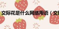 交際花是什么網絡用語(交際花是什么意思)