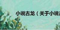 小說古龍(關于小說古龍簡介)