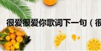很愛很愛你歌詞下一句(很愛很愛你歌詞)