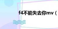 f4不能失去你mv(f4不和)