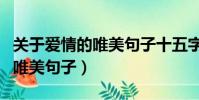 關于愛情的唯美句子十五字以上(關于愛情的唯美句子)