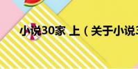 小說30家 上(關于小說30家 上簡介)