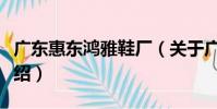 廣東惠東鴻雅鞋廠(關于廣東惠東鴻雅鞋廠介紹)
