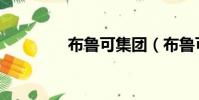 布魯可集團(布魯可集團)