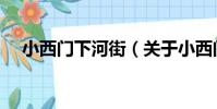 小西門下河街(關于小西門下河街簡介)