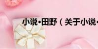 小說·田野(關于小說·田野簡介)