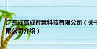 廣東成高成智慧科技有限公司(關于廣東成高成智慧科技有限公司介紹)