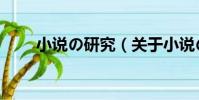 小說の研究(關于小說の研究簡介)