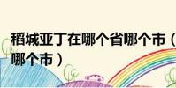 稻城亞丁在哪個省哪個市(稻城亞丁在哪個省哪個市)