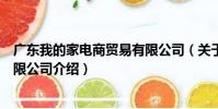 廣東我的家電商貿易有限公司(關于廣東我的家電商貿易有限公司介紹)
