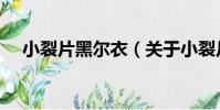 小裂片黑爾衣(關于小裂片黑爾衣簡介)