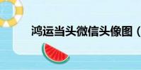 鴻運當頭微信頭像圖(鴻運當頭)