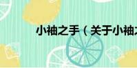 小袖之手(關于小袖之手簡介)