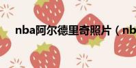 nba阿爾德里奇照片(nba阿爾德里奇)