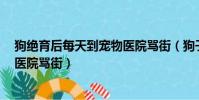狗絕育后每天到寵物醫院罵街(狗子絕育后連續3月到寵物醫院罵街)