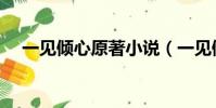 一見傾心原著小說(一見傾心原著小說)