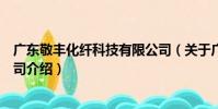 廣東敬豐化纖科技有限公司(關于廣東敬豐化纖科技有限公司介紹)