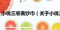 小說三卷黃紗巾(關于小說三卷黃紗巾簡介)