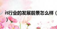 it行業的發展前景怎么樣(it行業的發展前景)