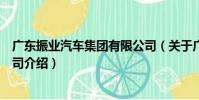 廣東振業汽車集團有限公司(關于廣東振業汽車集團有限公司介紹)