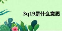 3q19是什么意思(3q1)