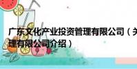 廣東文化產業投資管理有限公司(關于廣東文化產業投資管理有限公司介紹)