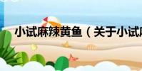 小試麻辣黃魚(關于小試麻辣黃魚簡介)