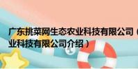 廣東挑菜網生態農業科技有限公司(關于廣東挑菜網生態農業科技有限公司介紹)