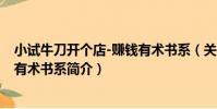 小試牛刀開個店-賺錢有術書系(關于小試牛刀開個店-賺錢有術書系簡介)