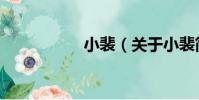 小裴(關于小裴簡介)