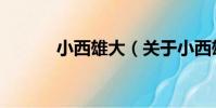 小西雄大(關于小西雄大簡介)