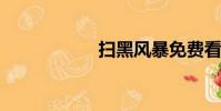 掃黑風暴免費看網站