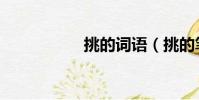 挑的詞語(挑的筆順)