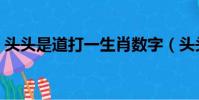 頭頭是道打一生肖數字(頭頭是道打一生肖)