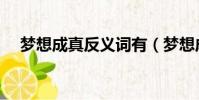 夢想成真反義詞有(夢想成真的反義詞)